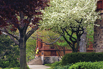 Spring time on campus. Links to Gifts of Life Insurance