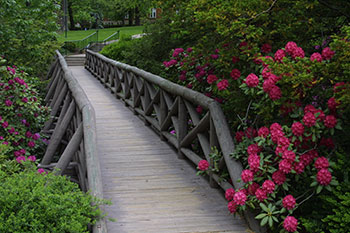 Flowers next to a bridge. Links to Gifts of Cash, Checks, and Credit Cards