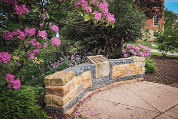 Photo of a stone wall next to a flower bush. Links to Donor-Advised Funds